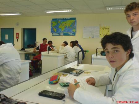 tom et pol louis